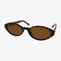 Paris Sunglasses Tortoise Brown